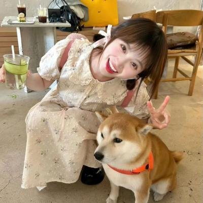 茉迪的彩色小屋 封面